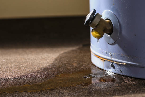 Best 24/7 water damage repair  in The Woodlands, TX