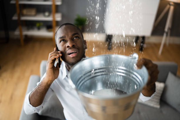 Best Ceiling water damage repair  in The Woodlands, TX