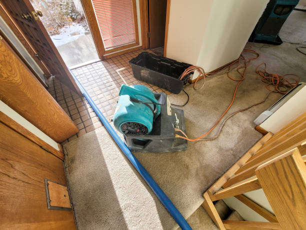  The Woodlands, TX Water damage restoration Pros