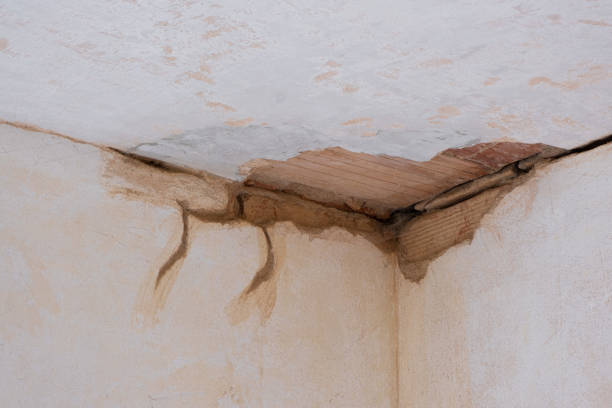 Best Ceiling water damage repair  in The Woodlands, TX