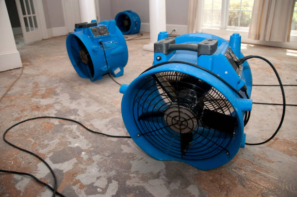 Best Local water damage restoration  in The Woodlands, TX