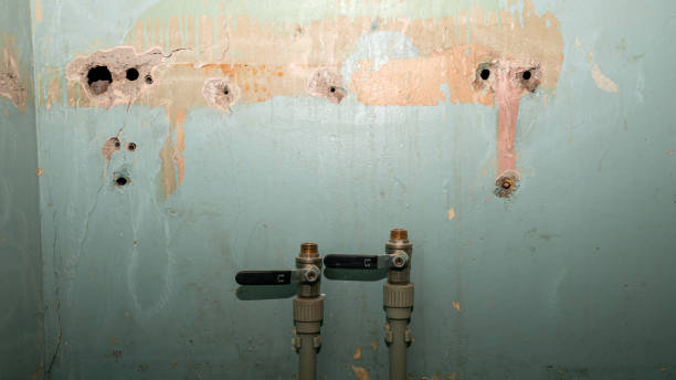 Best Carpet water damage restoration  in The Woodlands, TX